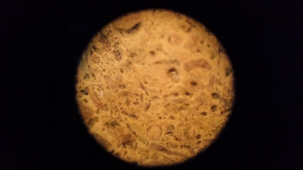 20180612_173434.jpg