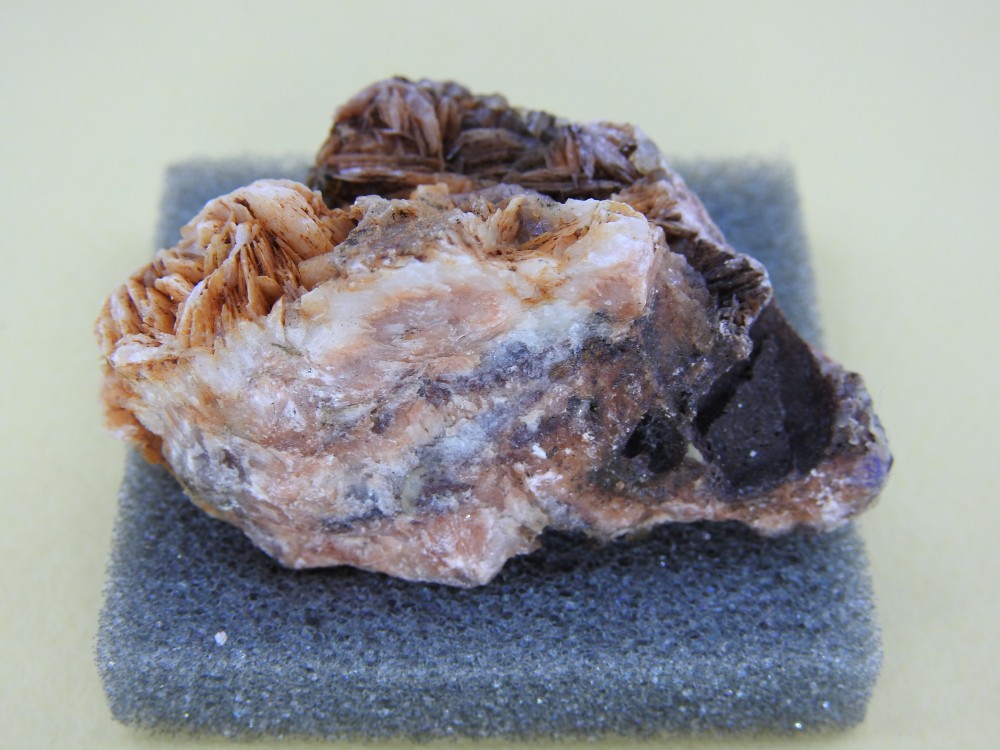 DSCN6038.JPG