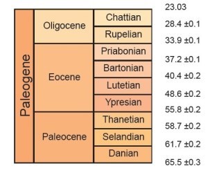 0506_Geologie_sortie_Saint_Gobain_Paleogene_306_250.jpg.364e27149e3fdbbf685acda476e01292.jpg