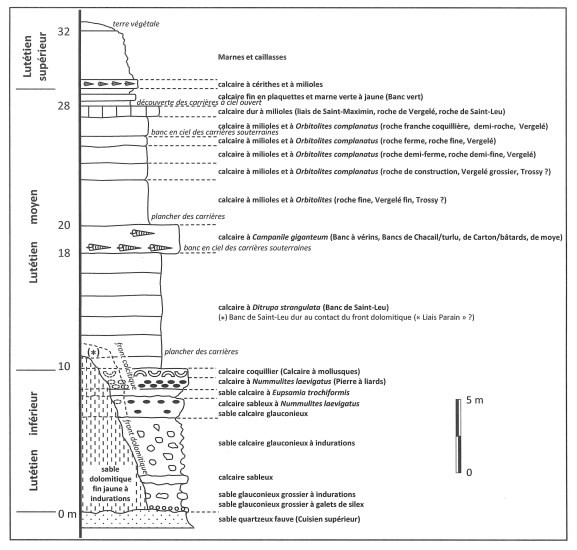 0507_Geologie_sortie_Saint_Gobain_Lutetien_577_550.jpg.6b6a385950f7a46a4e366cc7b077ee5e.jpg