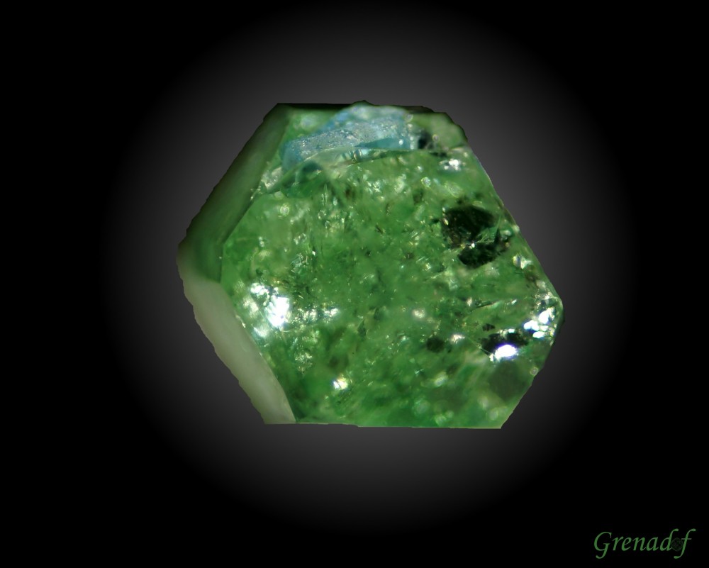 tsavorite fluoapatite.JPEG