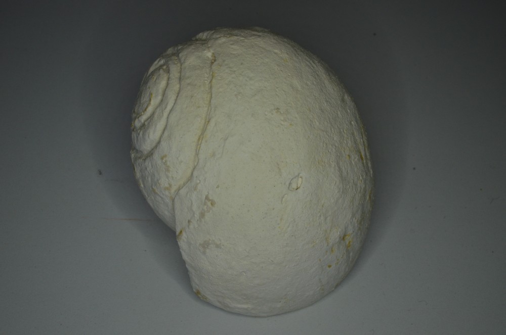 Escargot boule - 6.5 cm (2).JPG