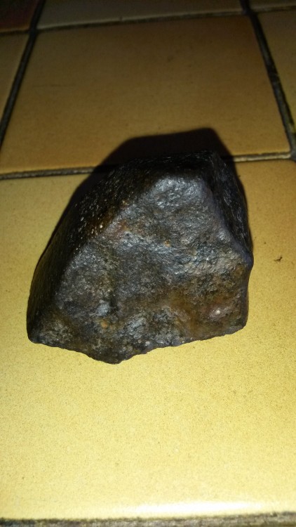 20180718_TALON DE CHONDRITE.jpg