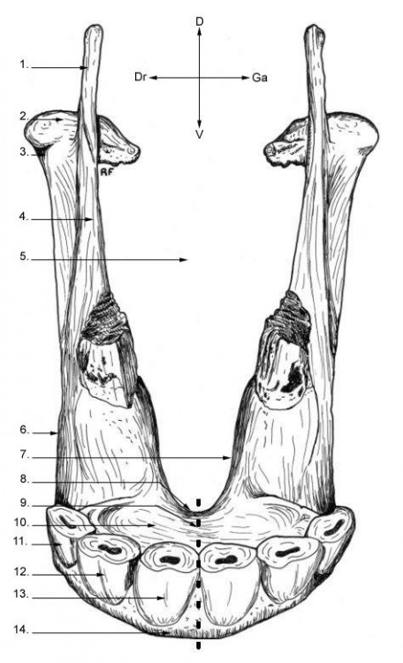 16_vue_rost_de.jpg