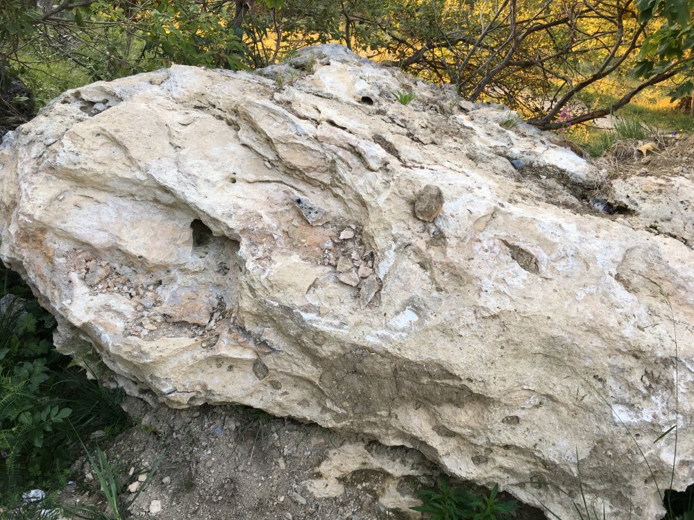 B416E282-AE1D-47F0-8982-705DF3690F88.jpeg