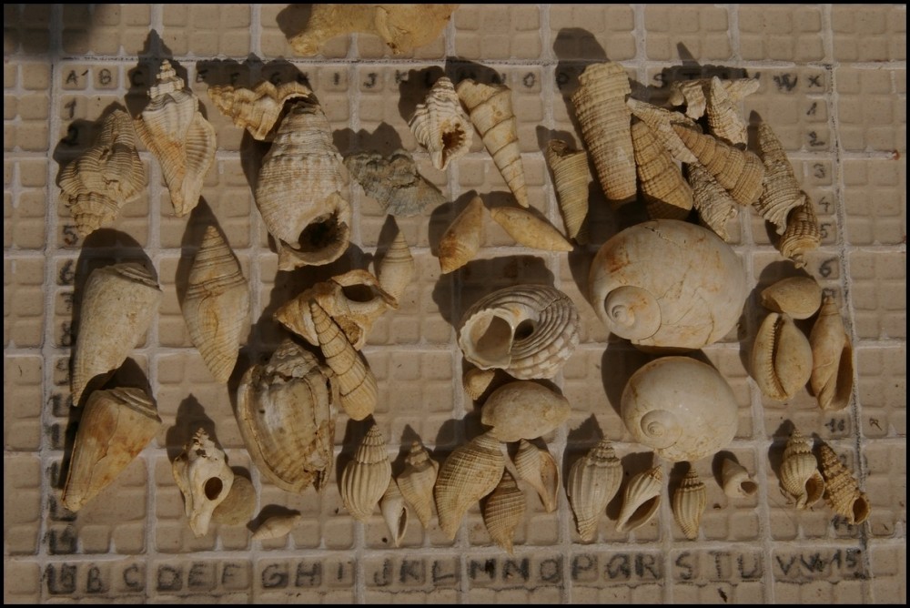 PetitsGastèroGaas [comp1200].JPG