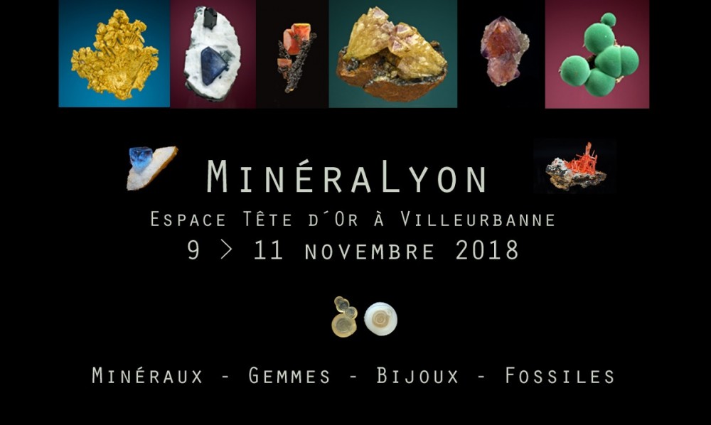 bourse-mineraux-mineral-lyon-2018-gffb.jpg