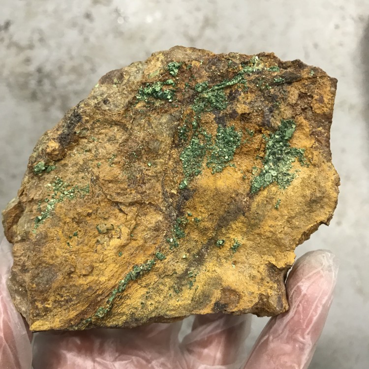 -torbernite-bretagne-uranium.JPG