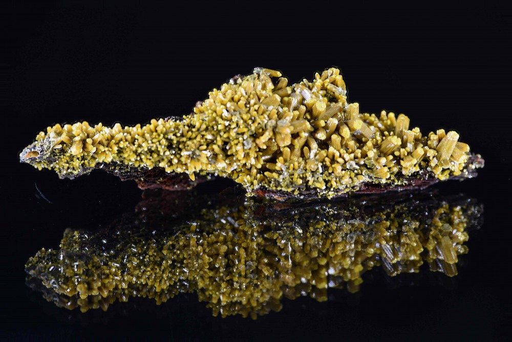 Pyromorphite stack de 3 pds.jpg