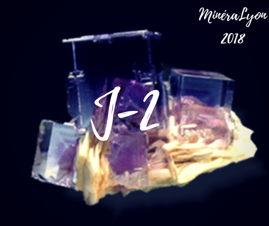 -mineraux-lyon-bourse-salon-cristal-2018.png