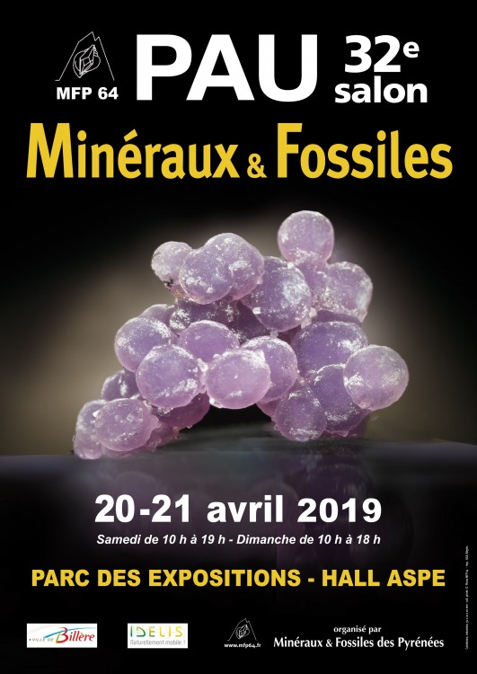 1164889008_afficheMFPSALON2019coulA4.thumb.jpg.695cd1c7151065fb112da0322b924cf5.jpg