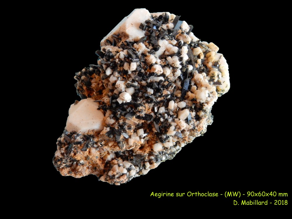 Aegirine sur Orthoclase no 5.jpg