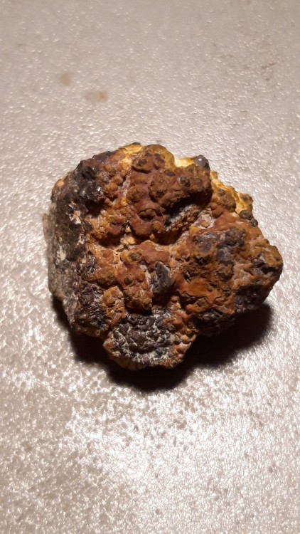 20181108_175207.jpg