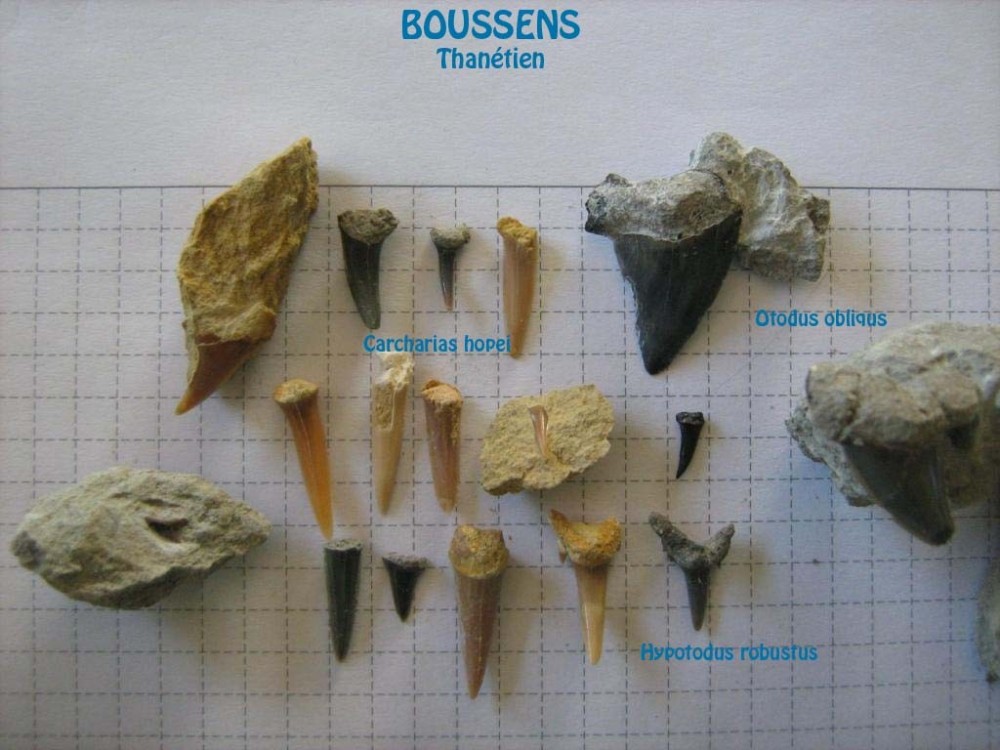 dents - boussens.jpg