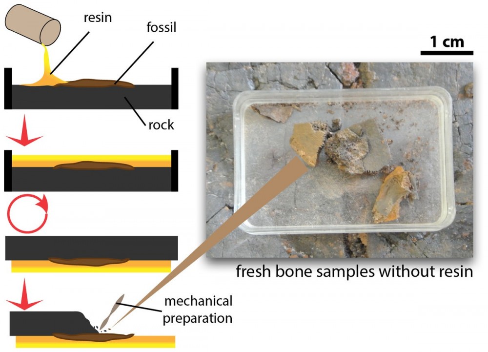 fig-1-2x.jpg