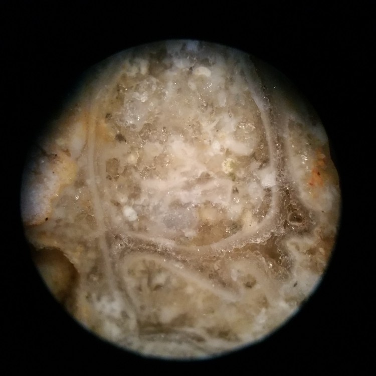 20181210_215447.jpg