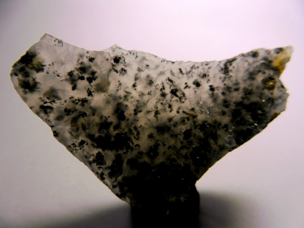 Agate Pyrite (32).JPG