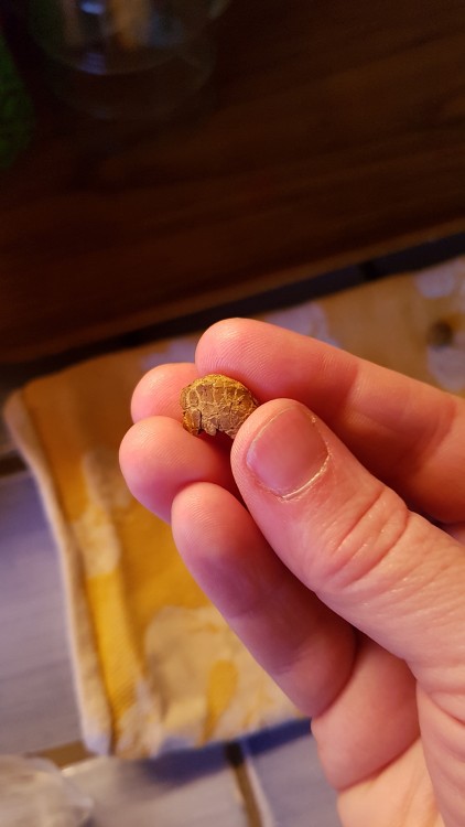 20190226_184138.jpg
