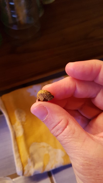 20190226_184143.jpg