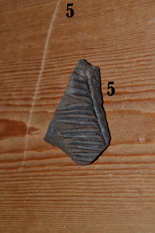 DSC_0163.JPG