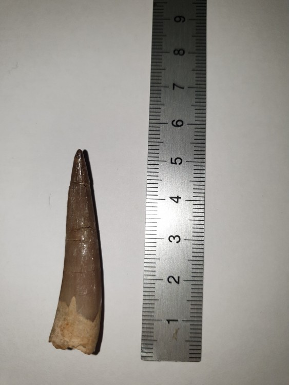 20190314_174228.thumb.jpg.ff128b76f441b239a7c3535426d52f25.jpg