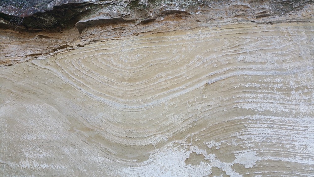 Lentille dans la mollasse de Chateauneuf (1).jpg