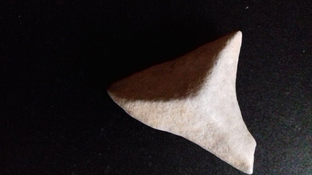 20190402_093429.jpg