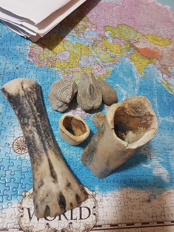 20190419_212424.jpg
