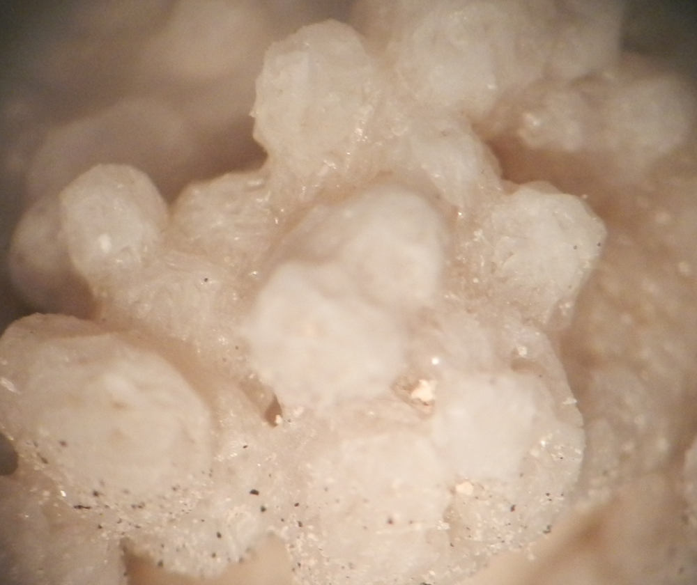 Calcite ou aragonite - Sous-sol caserne Filley Nice - Agrandissement 10 X - 16 mai 2019 (photo 2).png
