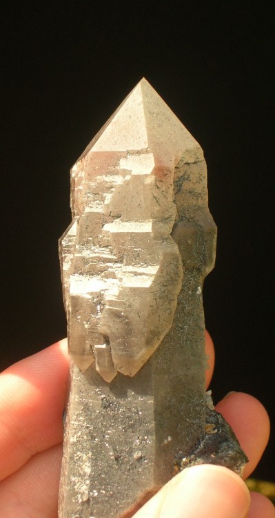 QUARTZ SCEPTRE Namibie Mont Erongo Brabant2.JPG