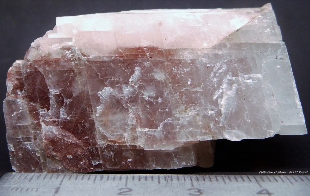 549516906_(5)1-17-Calcite-Sortiedu23mai2019lArgentolleSaneetLoireFrance...thumb.jpg.8c899c5b189b7e608bc7903b3a665901.jpg