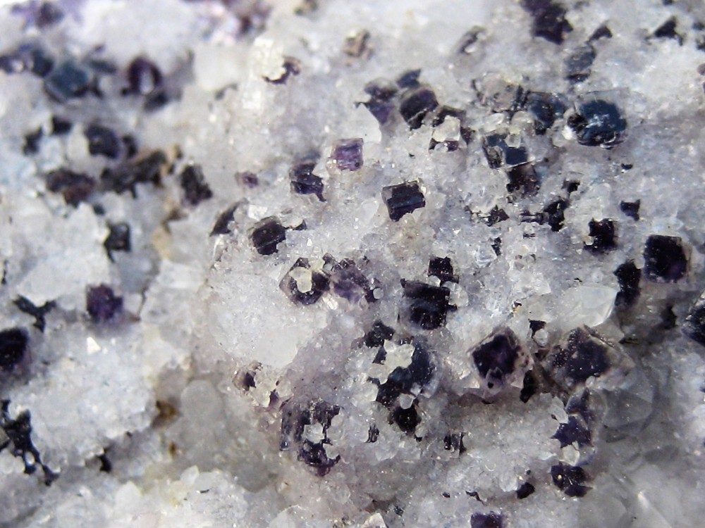 fluorine bisage 1.JPG