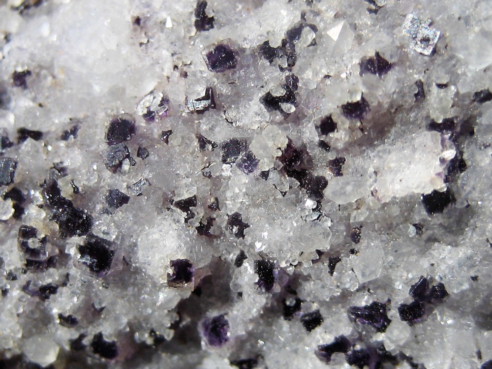 fluorine bisage 2.JPG