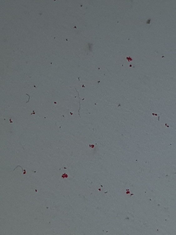 20190730_202608.jpg
