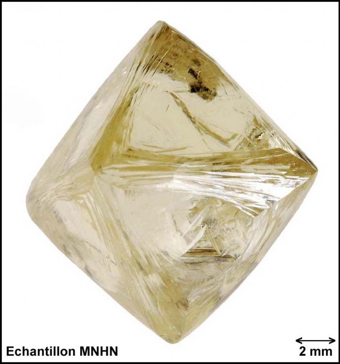 338-diamant-brut-naturel-07.thumb.jpg.41aedb01eabbfed70cc4bb9d8d44d1c2.jpg