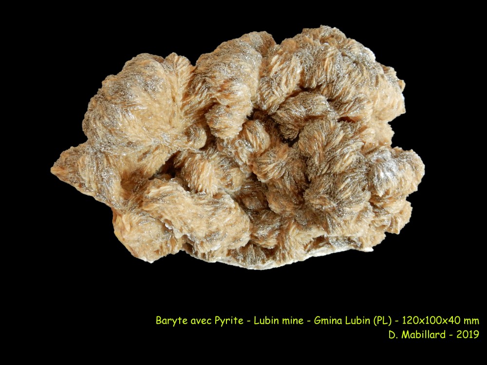 Baryte avec Pyrite no 170.JPG