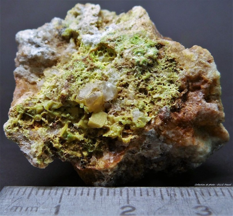 667301414_(8)1-11-Pyromorphite-sortiedu23juin2019ArgentolleSaneetLoireFrance...thumb.jpg.8ca086e89289591fdd7111acbb106ed8.jpg