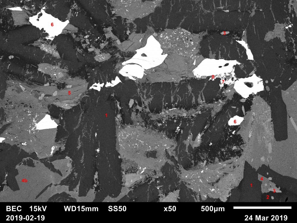 2019-02-19_Overview1_x50_BSE_scale.jpg