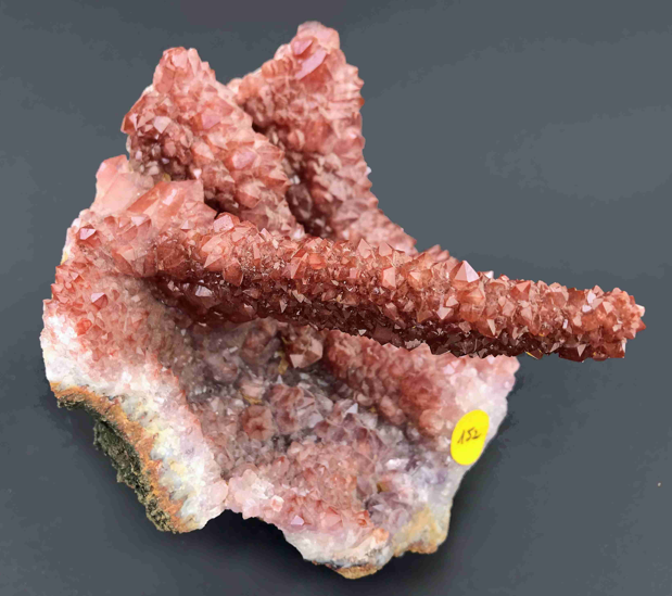 mineral-dijon-3.PNG
