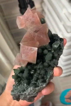 fluorite-pink-mongolie-chine-2.PNG