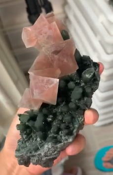fluorite-pink-mongolie-chine-4.PNG