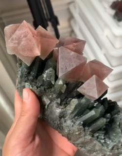 fluorite-pink-mongolie-chine-5.PNG