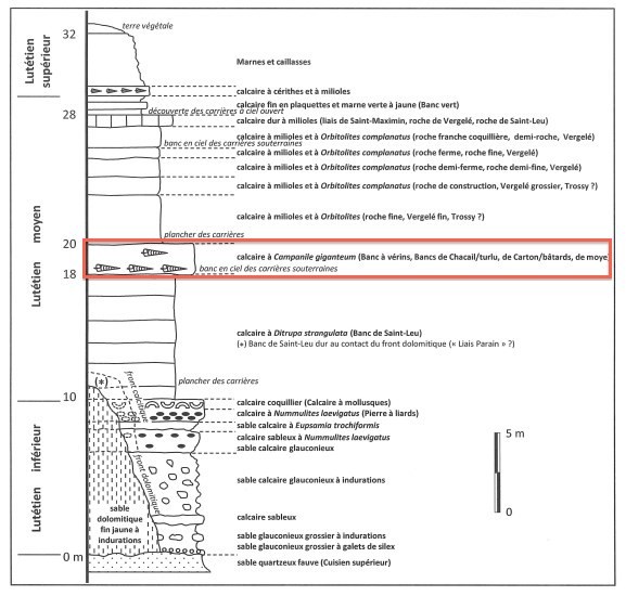 0507_Geologie_sortie_Saint_Gobain_Lutetien_577_550.jpg