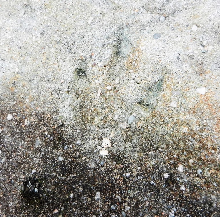 DSCN4552.JPG