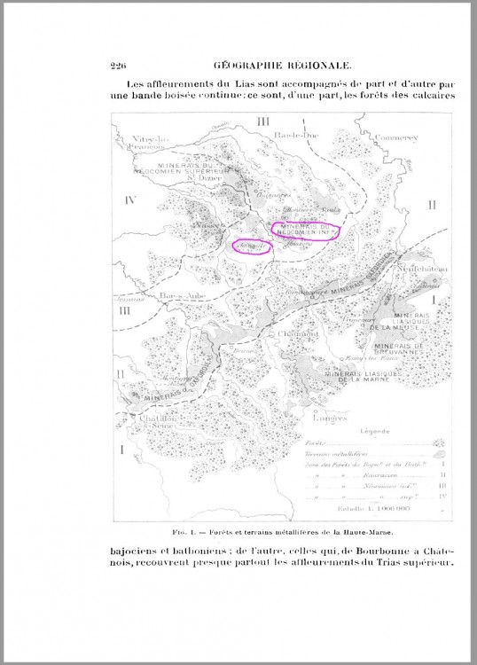 joinville.thumb.jpg.dd37e3f5adc96cefc6f31678881b7f2e.jpg