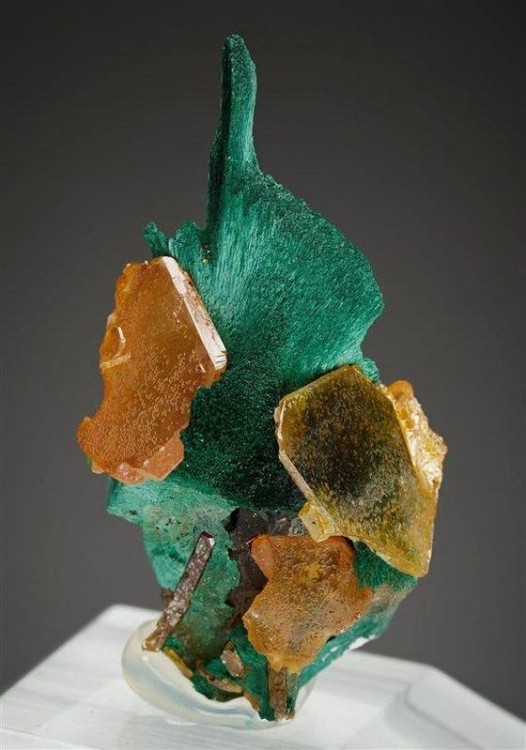 wulfenite-kaokoveld-namibie-mineral.jpg