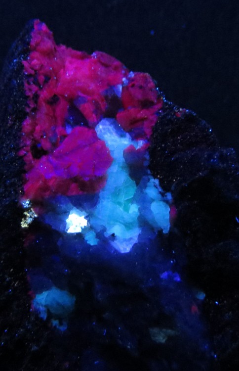 C-minéraux fluo UV couts.JPG