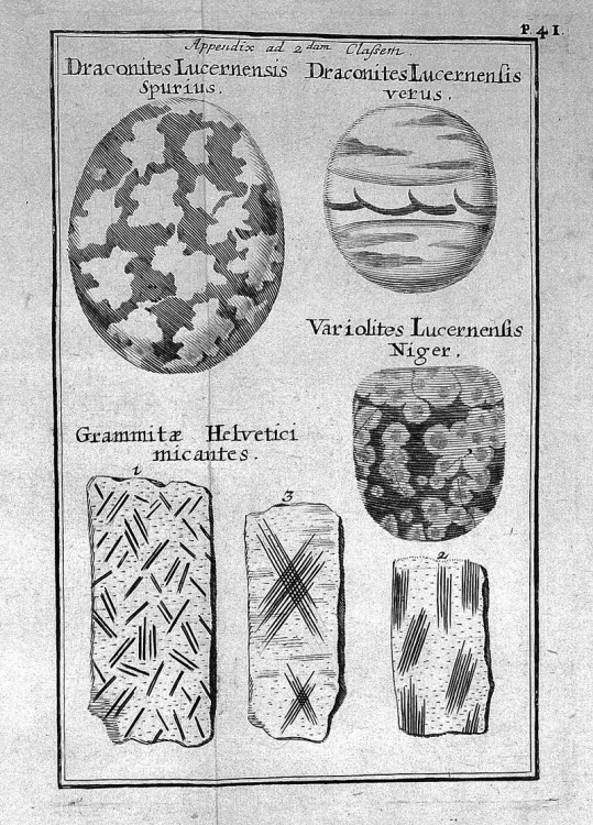 C.N._Lange,_Historia_lapidum_figuratorum_Hel_Wellcome_L0031224.jpg