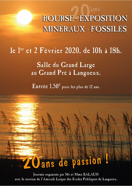 Affiche A3 2020-01.jpg