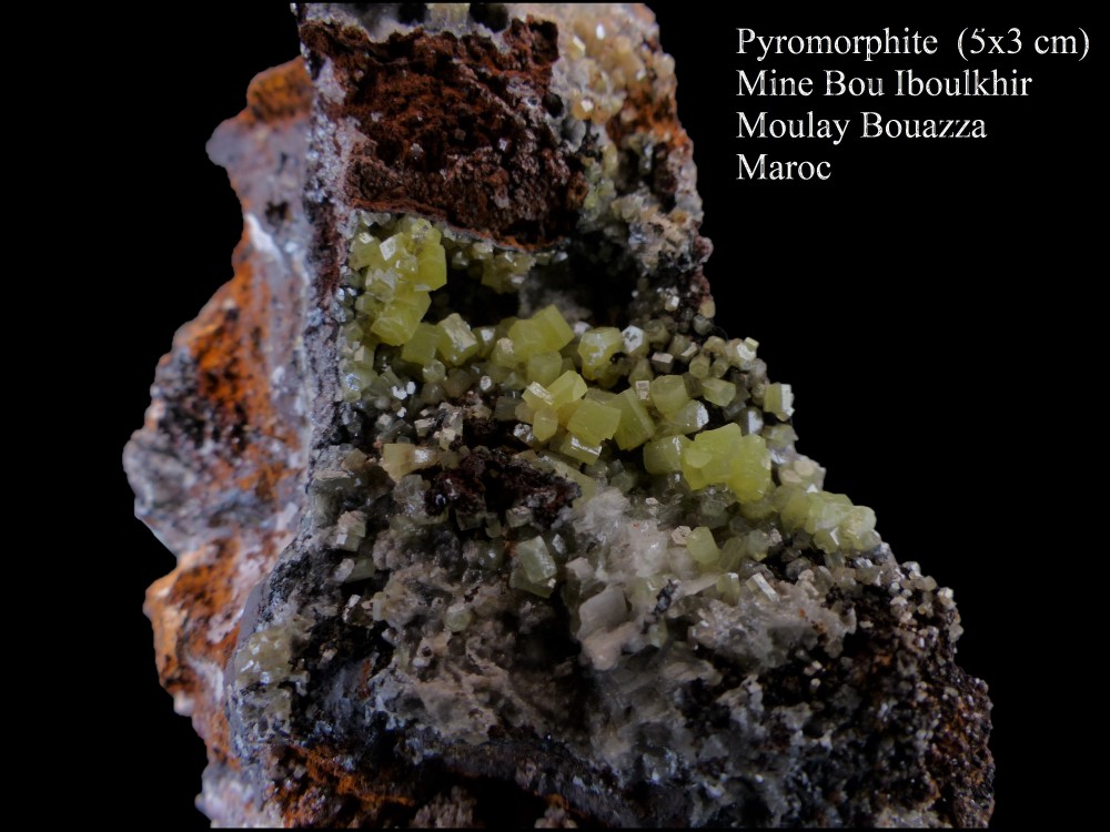 948001216_pyromorphite1-2.thumb.jpg.0106901c5377ebb69f80554489fa7afd.jpg